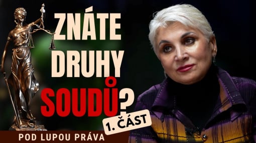 Soud není jen jeden. Soustava soudů v kostce – 1. část