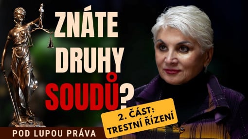 Znáte druhy soudů? | 2. část: trestní řízeni