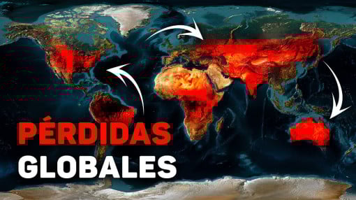 ¡Seguro que lo viste en tu feed! Catástrofes que sacudieron 6 continentes en 7 días