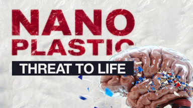 Trailer on the Documentary “Nanoplastics. Threat to Life”
