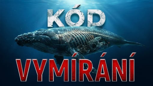 Univerzální jazyk přírody: Proč biologické signály selhávají?