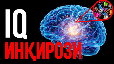 Нима Учун Ўртача IQ Пасаймоқда? «Бошдаги Туман» Сабаблари