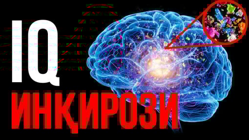 Нима Учун Ўртача IQ Пасаймоқда? «Бошдаги Туман» Сабаблари