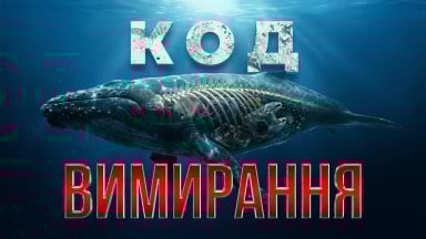 Універсальна мова природи: Чому біологічні сигнали дають збій?