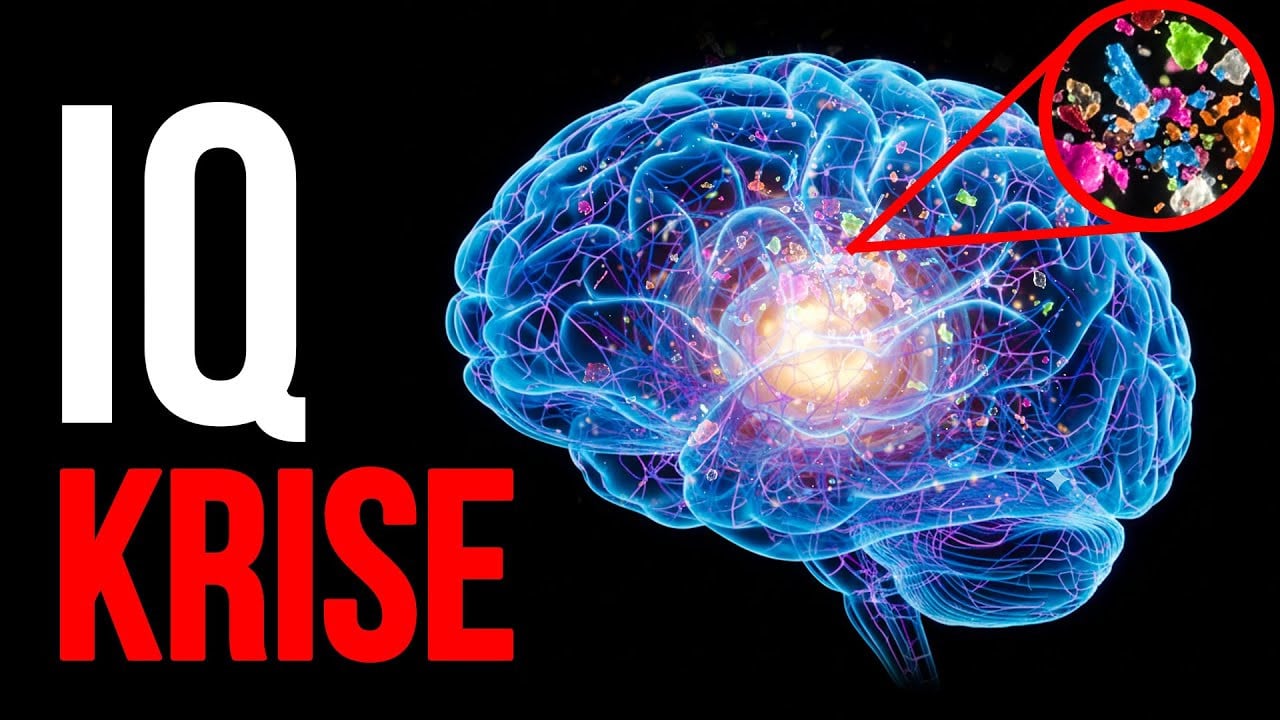 Warum der durchschnittliche IQ sinkt: Ursachen des „Gehirnnebels“