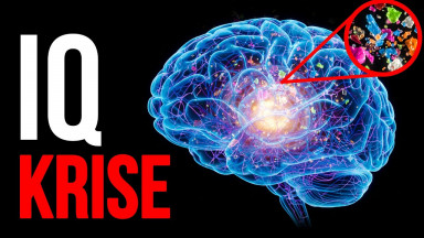 Warum der durchschnittliche IQ sinkt: Ursachen des „Gehirnnebels“