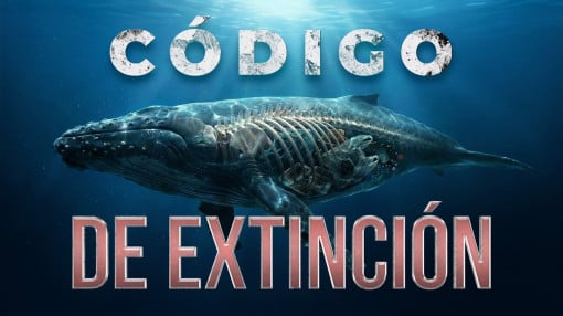 El lenguaje universal de la naturaleza: ¿Por qué están fallando las señales biológicas?