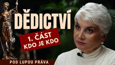 DĚDICTVÍ - 1. část | Kdo je kdo