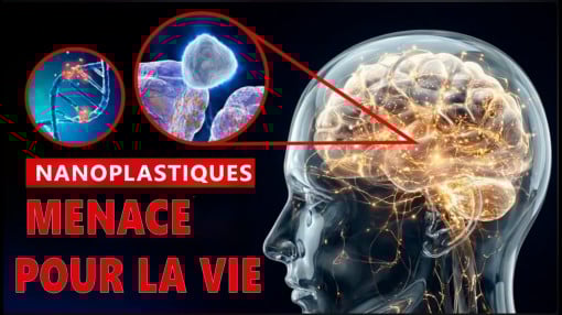 Nanoplastiques. Menace pour la vie | Documentaire ALLATRA