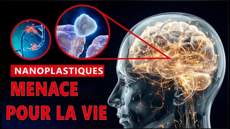 Nanoplastiques. Menace pour la vie | Documentaire ALLATRA