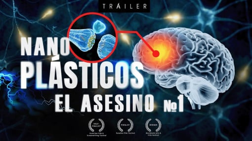 Por qué los nanoplásticos son más peligrosos de lo que pensábamos