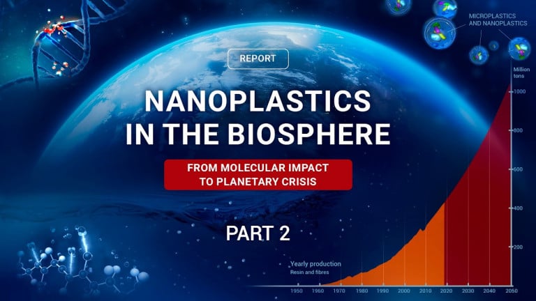 Nanoplastics: Invisible Threat That Already Affects Everyone | Excerpt #2 from a Scientific Report