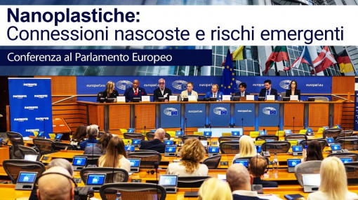 Nanoplastiche: connessioni nascoste e rischi emergenti | Conferenza al Parlamento Europeo