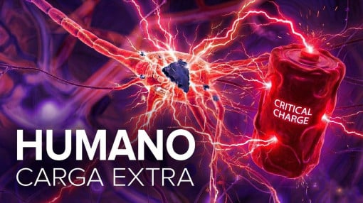 Física de los nanoplásticos: ¿por qué las partículas se comportan como «acumuladores»?
