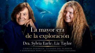 Diálogo global