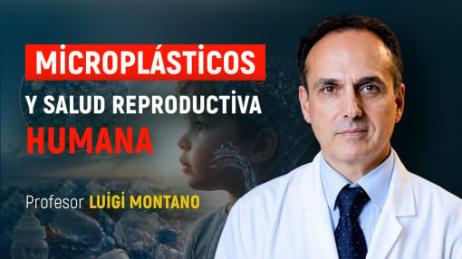 Microplásticos y salud reproductiva: entrevista con el profesor Luigi Montano | ALLATRA ITALIA
