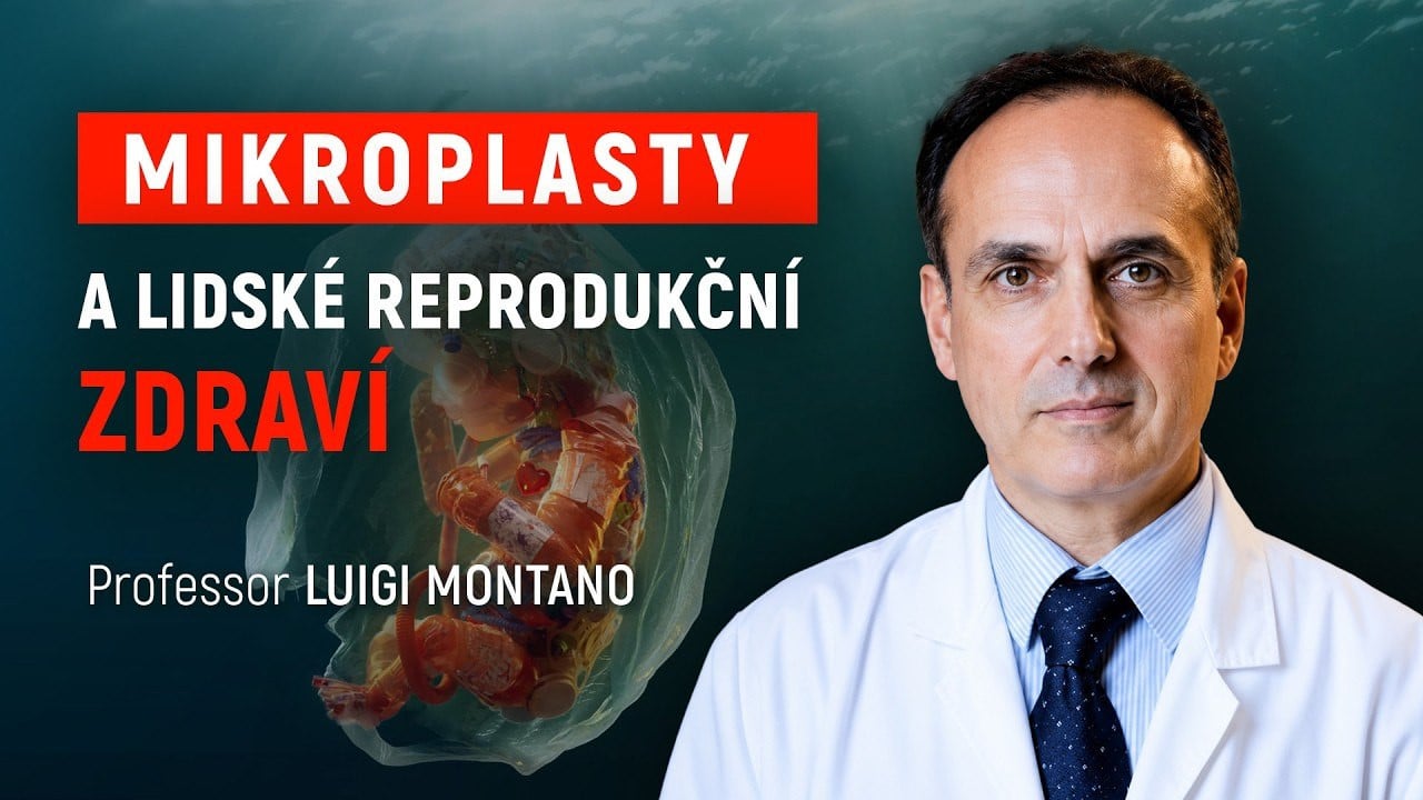 Mikroplasty a reprodukční zdraví: rozhovor s profesorem Luigim Montanem | ALLATRA ITALIA