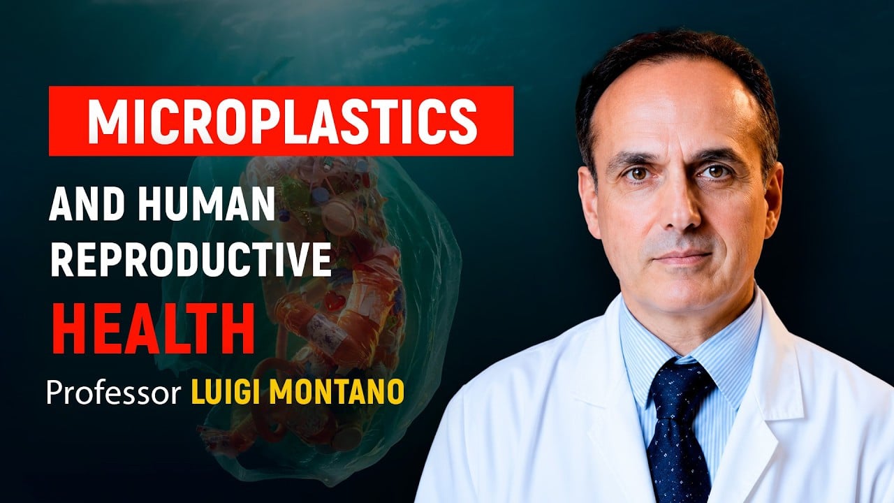 Microplastics and Reproductive Health: Interview with Professor Luigi Montano | ALLATRA ITALY