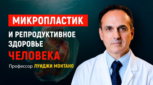 Микропластик и репродуктивное здоровье: интервью с профессором Луиджи Монтано | АЛЛАТРА Италия