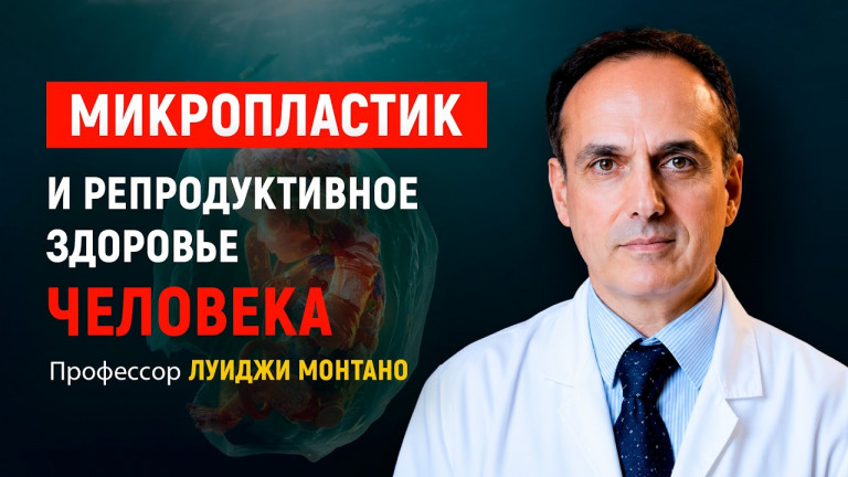 Микропластик и репродуктивное здоровье: интервью с профессором Луиджи Монтано | АЛЛАТРА Италия